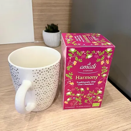 Chiccosy 2mn Rer Proximité Paris Aéroport Cdg Apartamento *